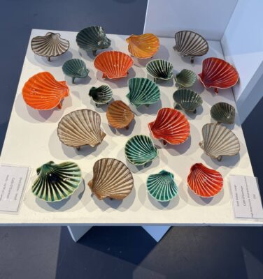 Sea shells by Cath O’Gorman